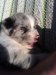 bella140313_3