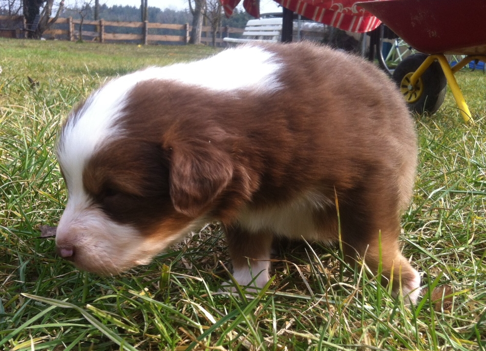 bruno140302_1