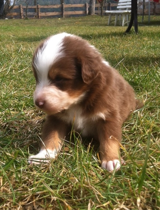 bruno140302_2