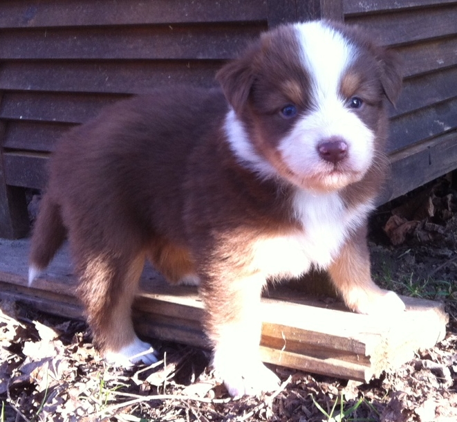 bruno140309_1