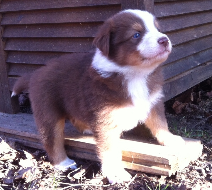 bruno140309_2
