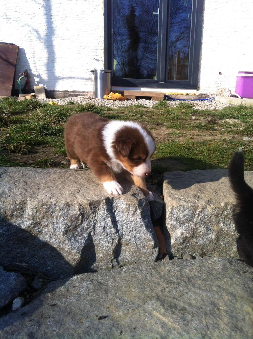 bruno140310_2
