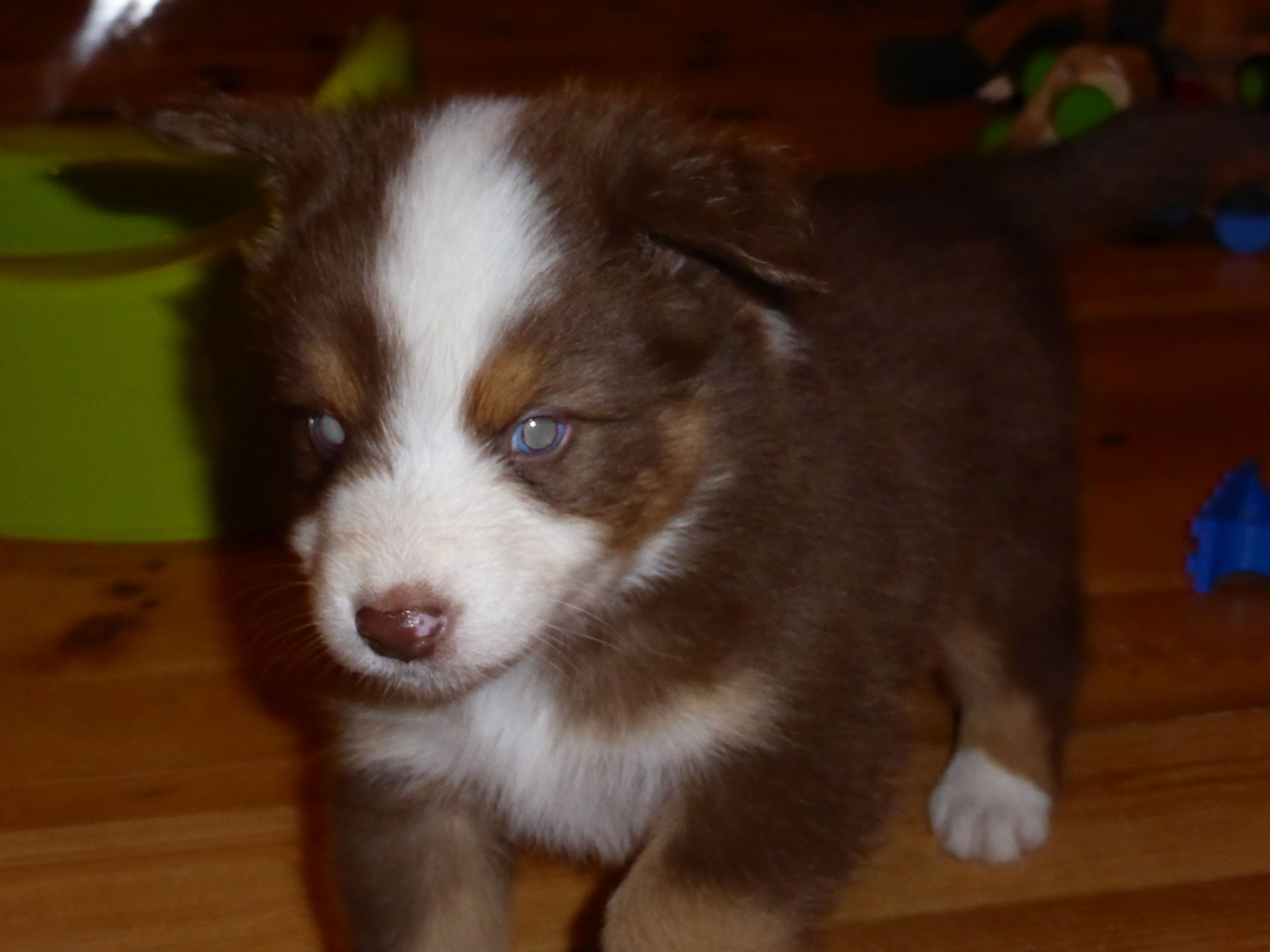 bruno140315_1