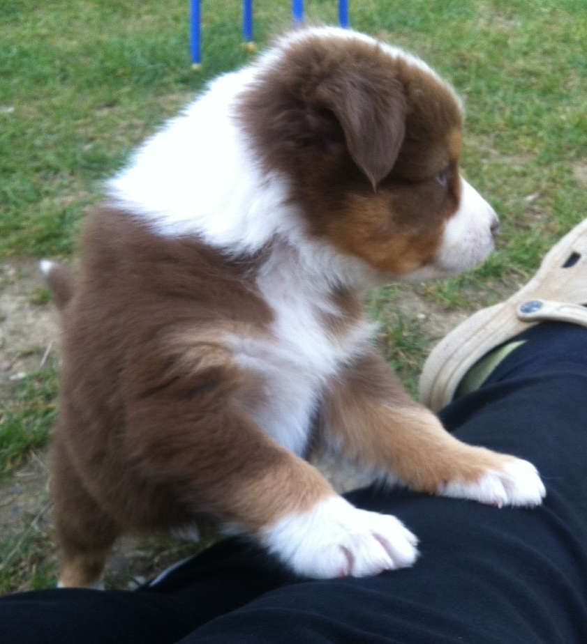 bruno140317_3