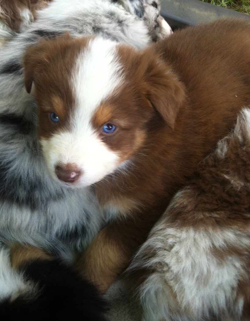 bruno140317_5