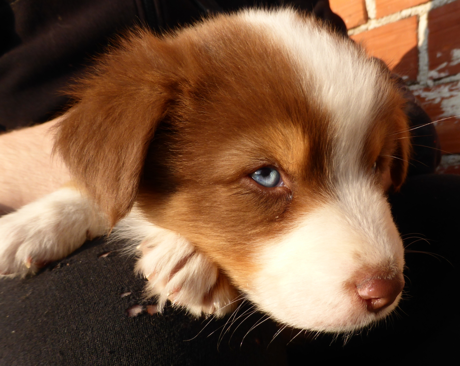 bruno140325_1