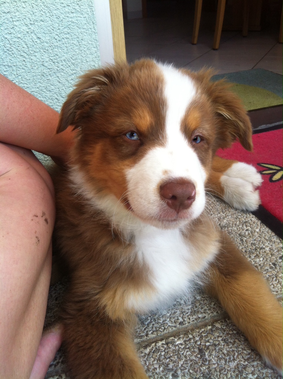 bruno140425_1