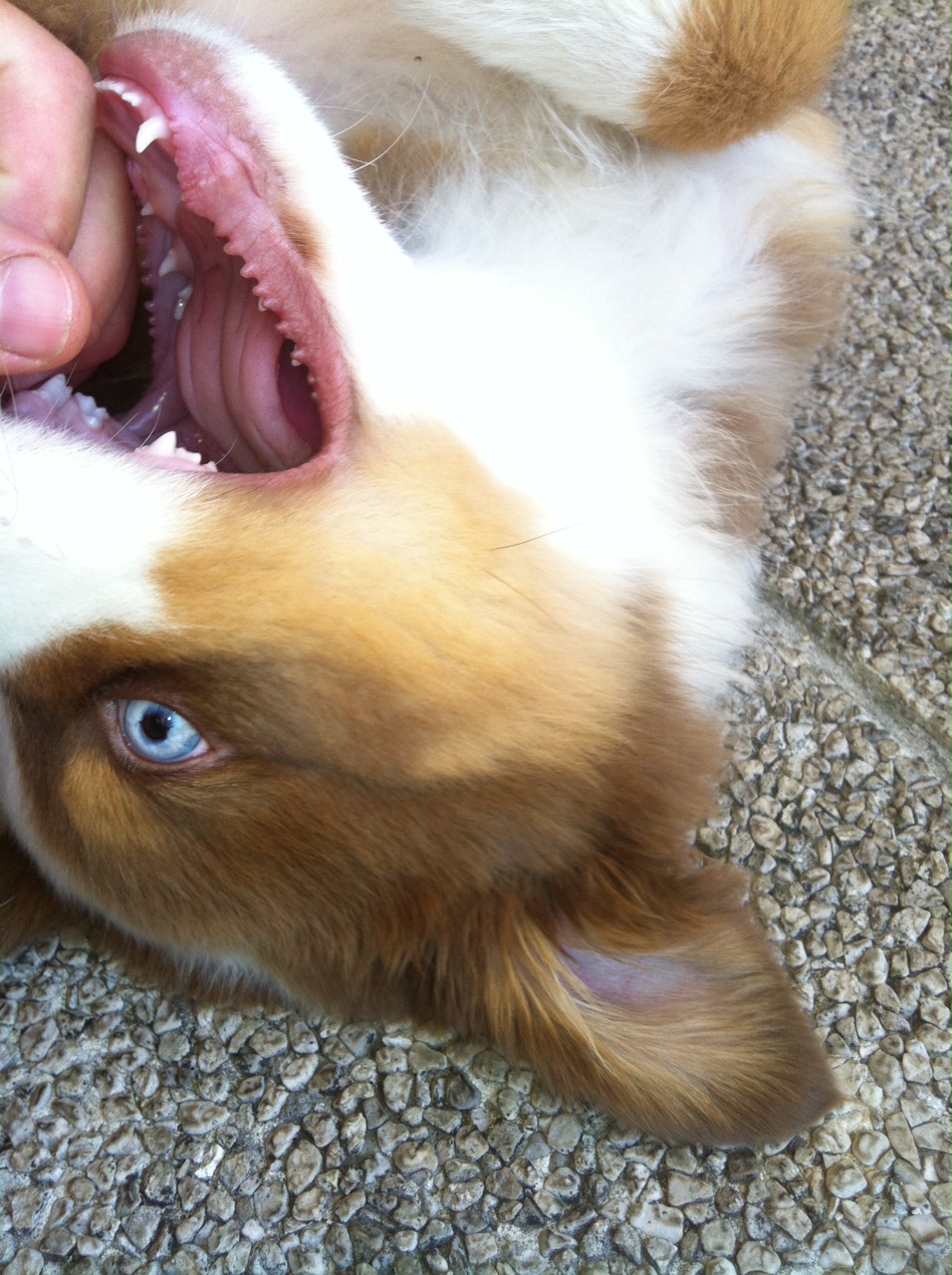 bruno140425_2