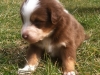 bruno140302_2