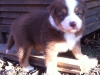 bruno140309_1
