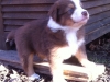 bruno140309_2