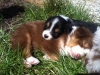 bruno140310_1