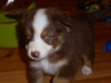 bruno140315_1