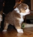 bruno140315_2
