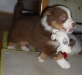 bruno140316_1