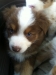 bruno140317_2