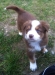 bruno140317_4