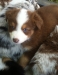 bruno140317_5