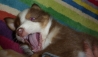 bruno140320_1