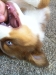 bruno140425_2