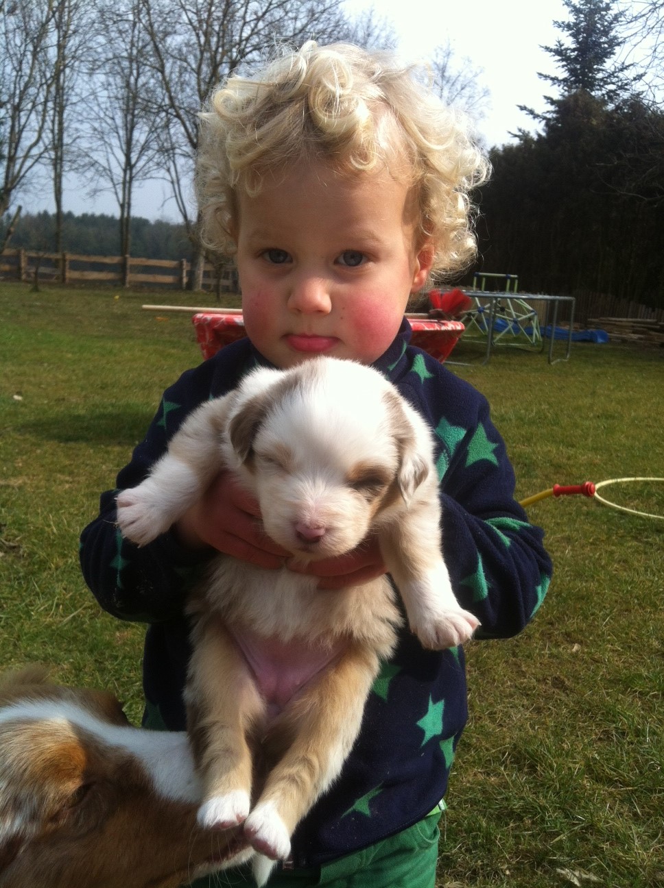 merle140302_1