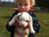 merle140302_1