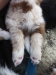 merle140314_2