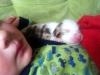 merle_2