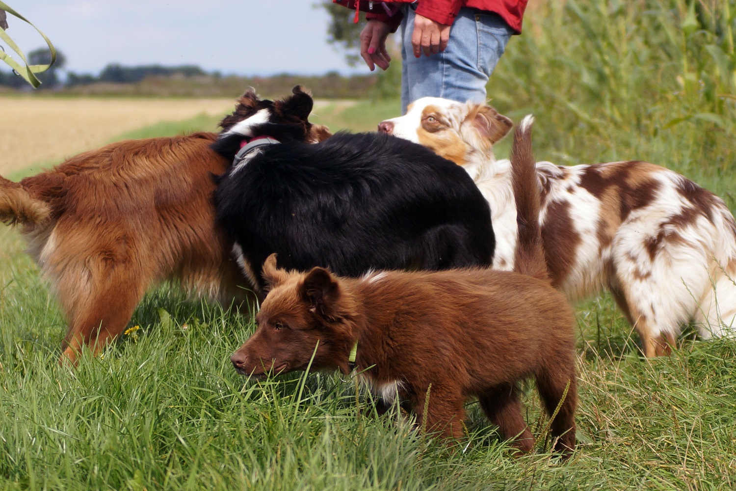 DSC06733_bearbeitet-1