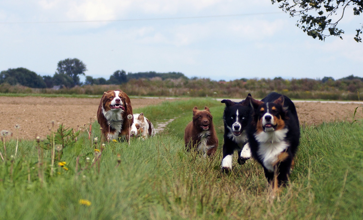 DSC06805_bearbeitet-1