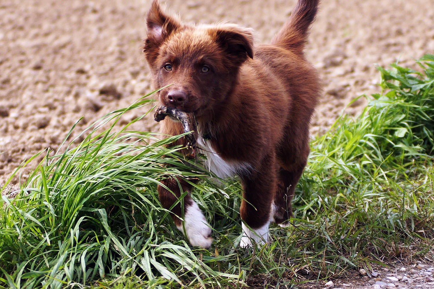 DSC06860_bearbeitet-1