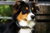 DSC06570_bearbeitet-1