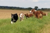 DSC06782_bearbeitet-1