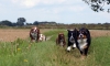 DSC06805_bearbeitet-1