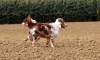 DSC06836_bearbeitet-1