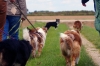 DSC06846_bearbeitet-1