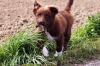 DSC06860_bearbeitet-1