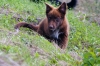 DSC06880_bearbeitet-1