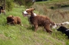 DSC06898_bearbeitet-1
