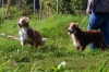 DSC06943_bearbeitet-1