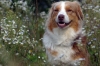 DSC07019_bearbeitet-1