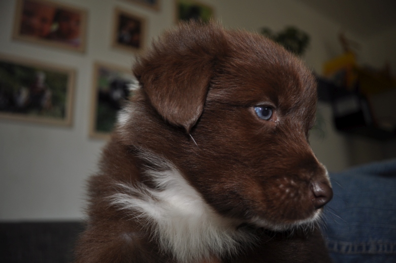 20150617_face_03