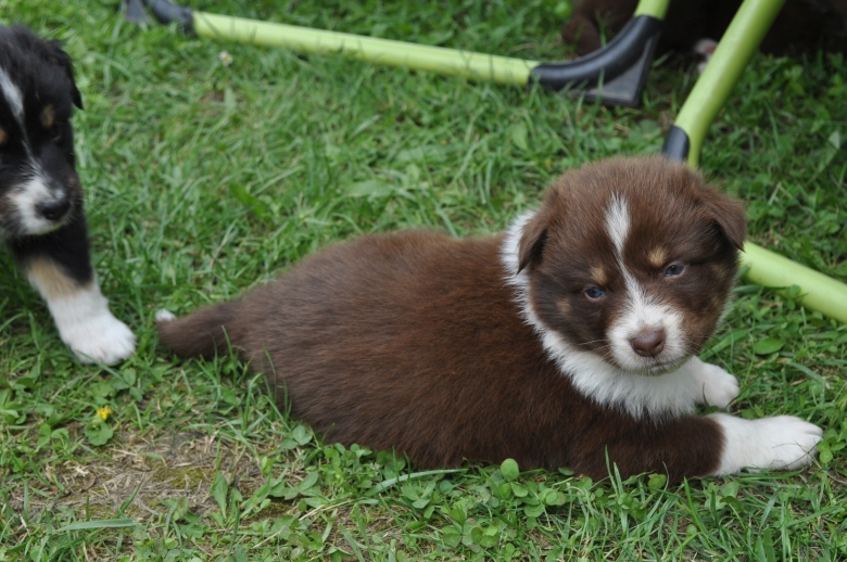 20150617_roy_01