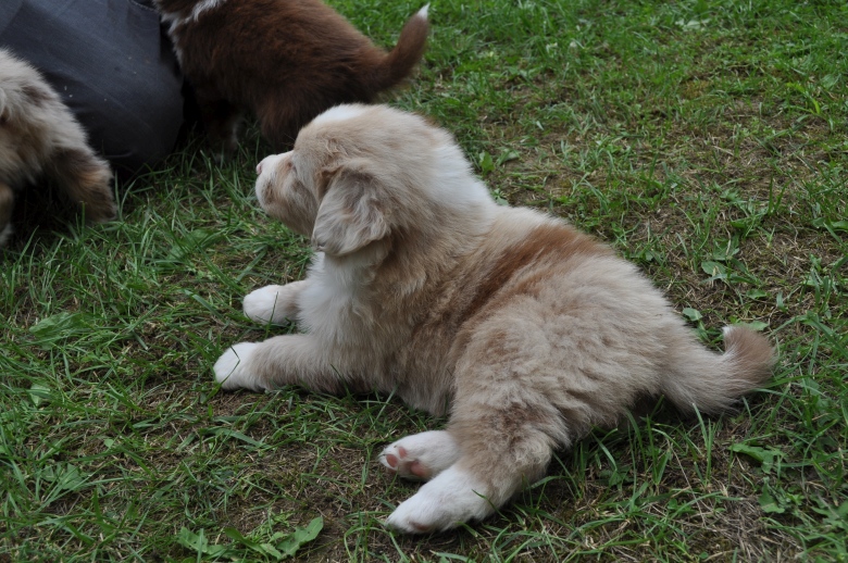 20150617_sandy_02