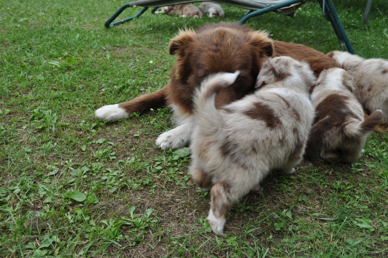 20150617_spoty_02
