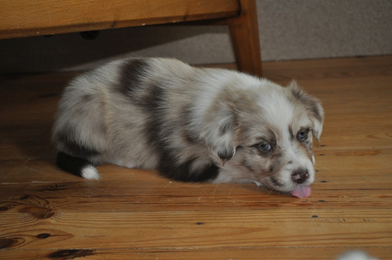 20150617_woody_04