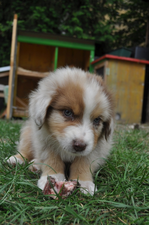 20150629_cino_2