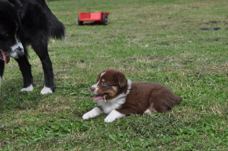 20150629_roy_2
