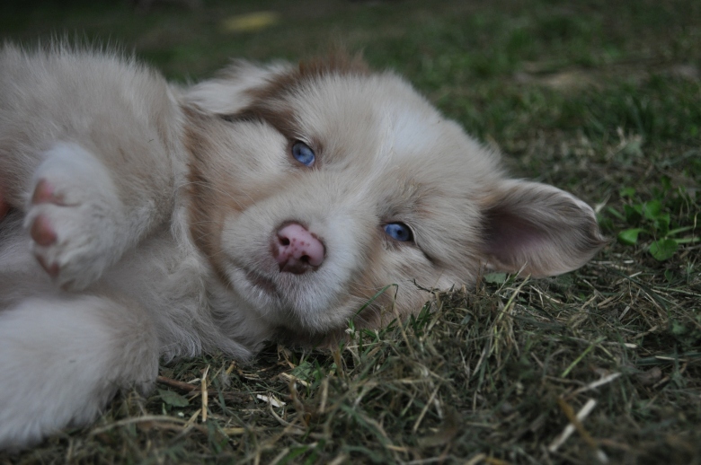 20150629_sandy_2