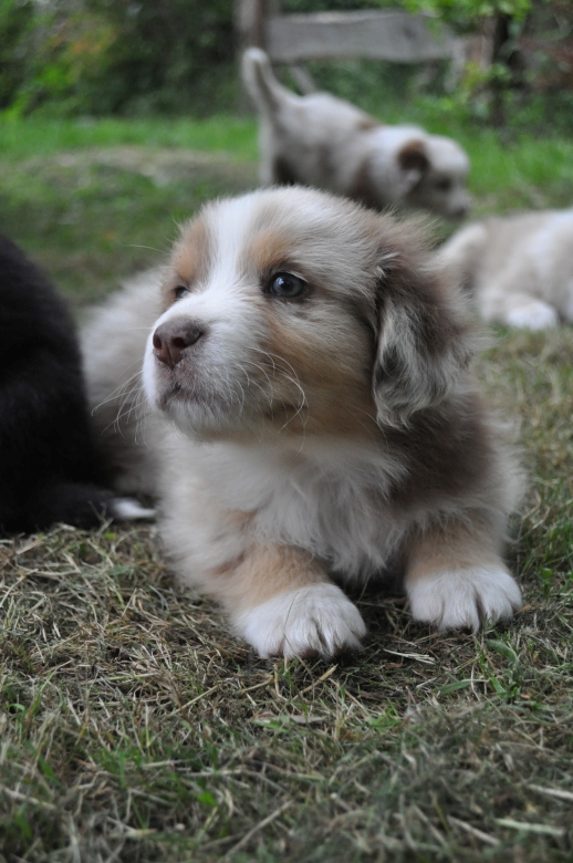20150629_cino_1